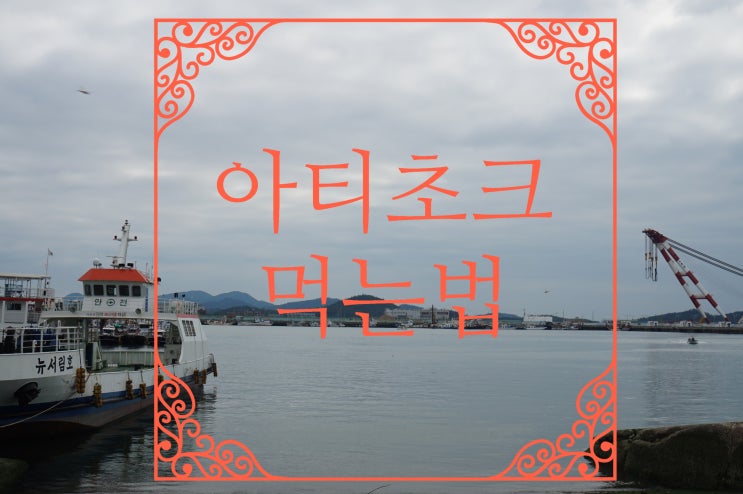  아티초크먹는법 간단하게 꿀꺽!