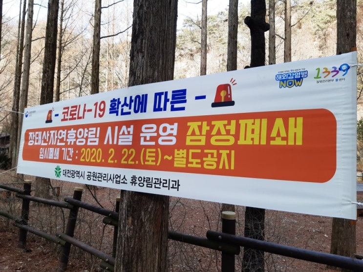 장태산자연휴양림,장태산메타세콰이어길,장태산휴양림,장태산자연휴양림잠정폐쇄,