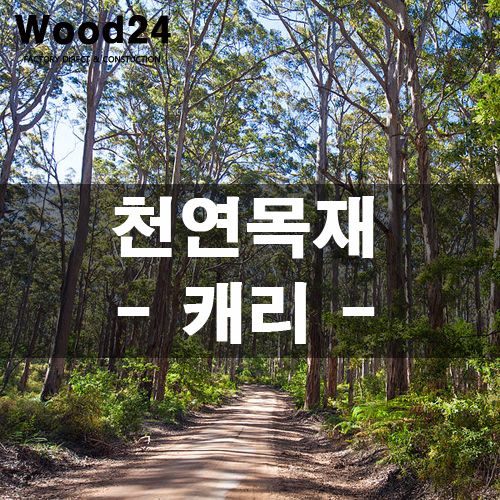  천연목재 알아보기 - 캐리