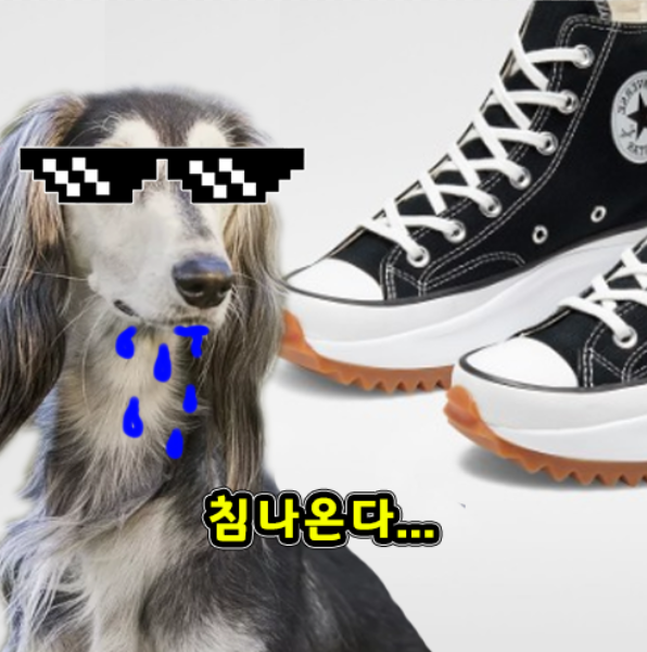  컨버스 런스타 하이크 보급형 어디서사개?