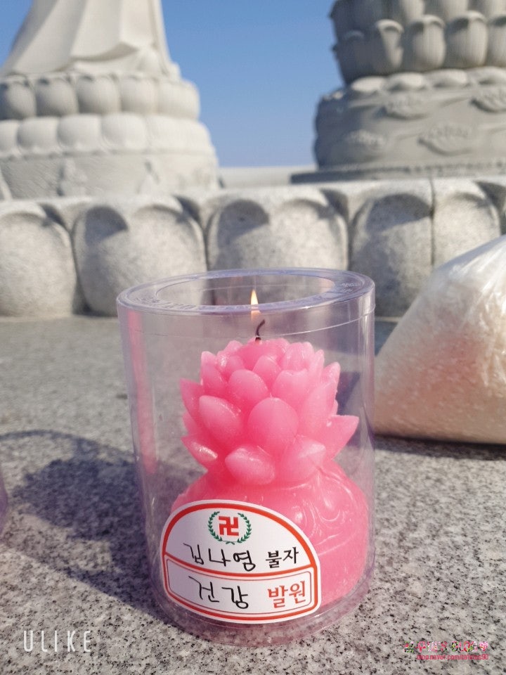 강원도 양양 휴휴암 방생기도 건강이 최고다
