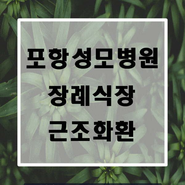  포항 성모병원 장례식장 근조화환 빠른 배송 가능한 꽃집