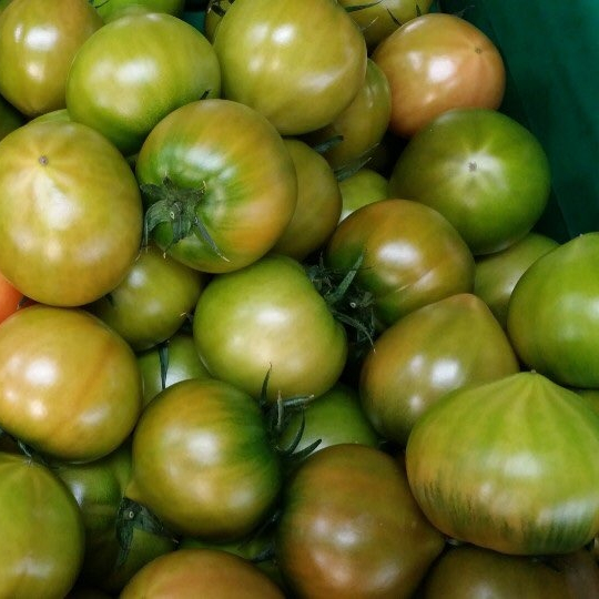  특별할인  토망고관련 -브라보유통 대저짭짤이토마토 고당도 제철과일 특상품 소 중 대과 2.5kg, 1박스, 특상품 대과