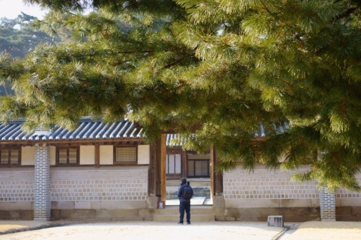 남양주시 홍유릉(유네스코문화재) 봄햇살 만나다.