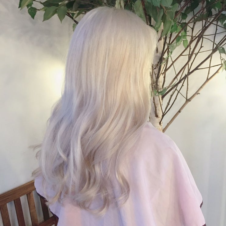  홍대 까헤어 백금발 염색, 아이스 블론드 컬러 recommended hair salon in Seoul, Ice Blonde hair color