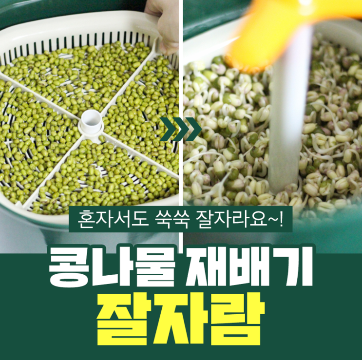 오늘의 잇템 ) 자이글 잘자람 콩나물 채소 재배기