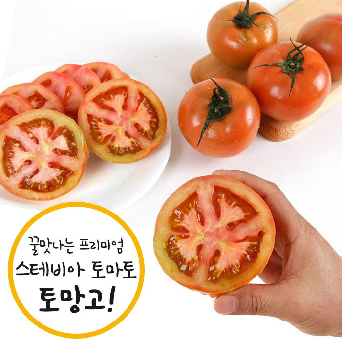  ️여심 제대로 자극하는 [ 단마토] 1위는? 충남부여 스테비아토마토 토망고 단토마토 1개 1kg