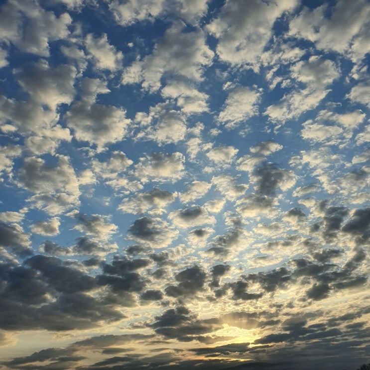  하늘은 평안하십니까?