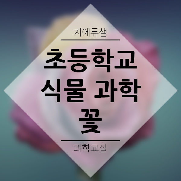 초등학교 4학년 과학 교과서 예습 복습 &lt;꽃&gt; 알아보기! 선생님과 함께하는 선행학습!