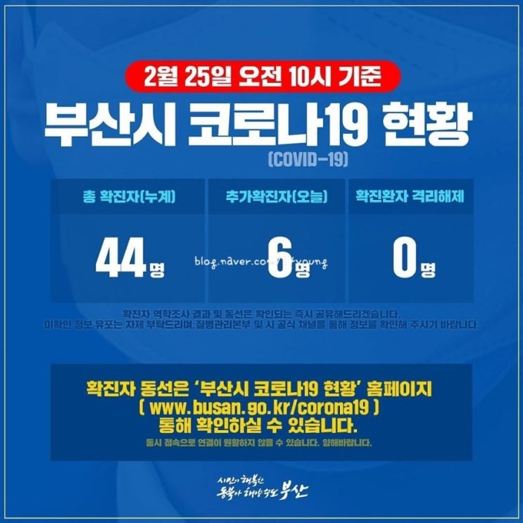 2.25 10시 기준 부산코로나현황 공유. 코로나 확진자 이동동선 - 출처 부산시공식인스타