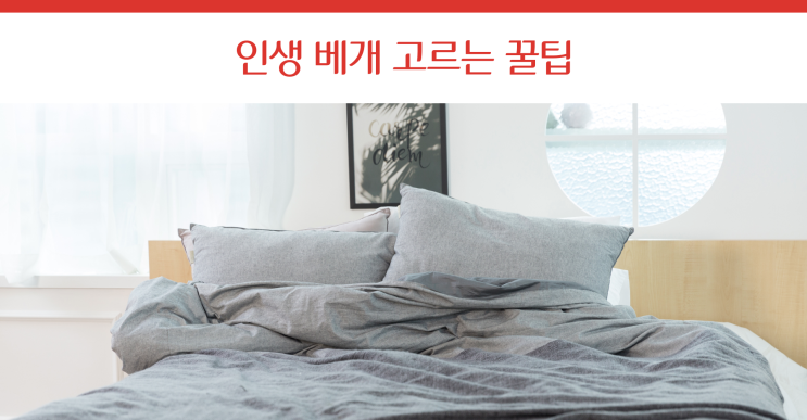  경추베개, 목베개, 마약베개… 오늘 밤도 ‘인생 베개’를 찾아 헤매고 있나요?