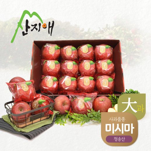  [품절예상][가성비굿]당도선별세척사과 Top 20