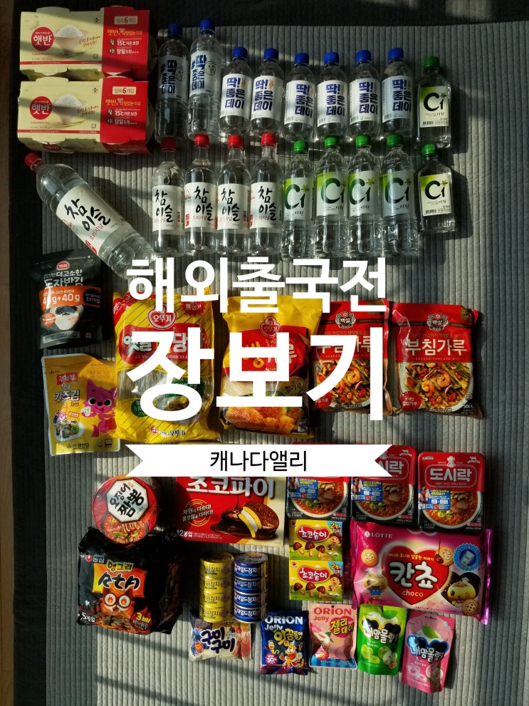  [캐나다1년살기/몬트리올] #1-3.해외 출국 전 대형마트 장보기 : 해외여행준비 / 출국쇼핑리스트 / 이민생필품 / 대한항공 미주 수화물 규정