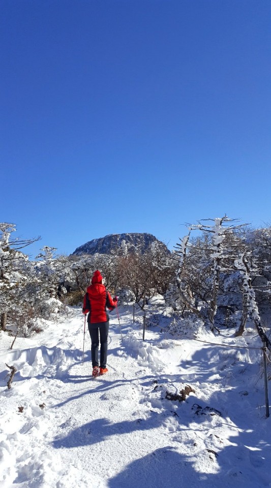 겨울왕국 한라산 겨울산행