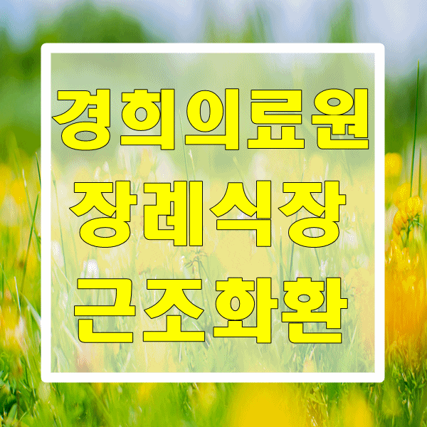 경희의료원 장례식장 화환 품질 걱정 없는 꽃집