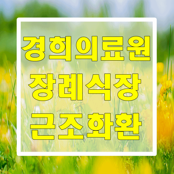  경희의료원 장례식장 화환 품질 걱정 없는 꽃집