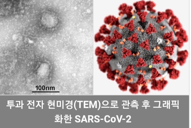  '코로나19 실시간 현황' 조회로 위장한 악성코드 발견