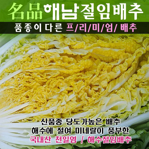  제가 쓰는 괴산절임배추  찾으셨나요? 1 to 20 리스트 정보입니다. 