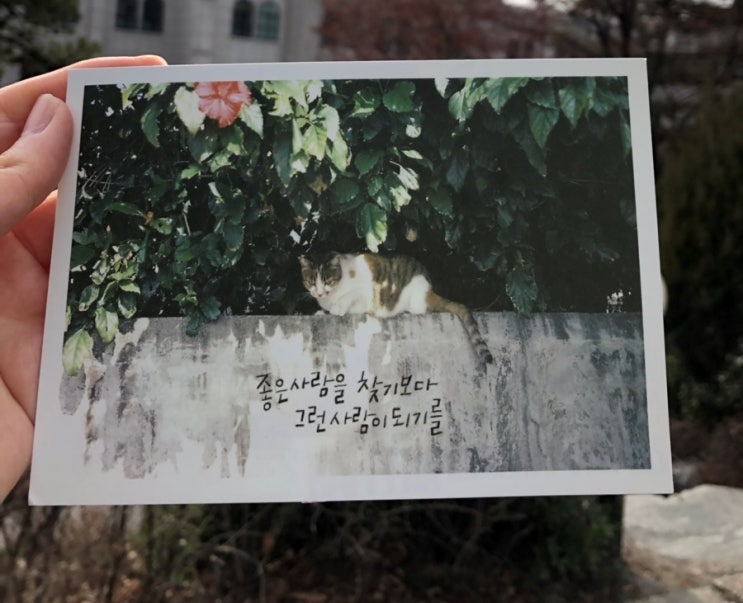  [포스트크로싱] 1,2월 보낸 엽서