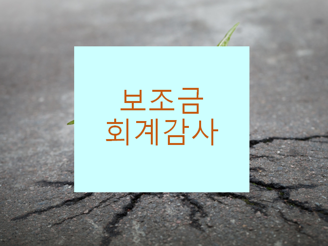  보조금의 익금 시기 알아보세요!!