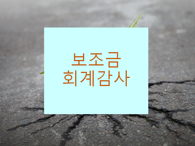 보조금의 익금 시기 알아보세요!!