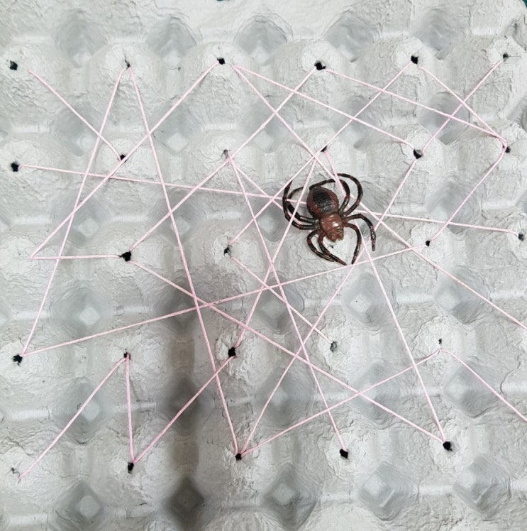 엄마표미술놀이 - 계란판으로 거미줄을 만들어 놀아보아요!