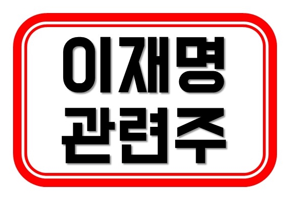  오늘 주식시장 - 이재명 경기지사, 신천지 신도3만명 명단확보 - 부각되는 이재명 관련주