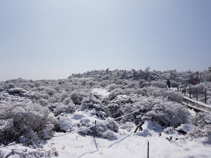  제주도여행 - 해녀잠수촌, 한라산 영실코스(추천추천..!!)