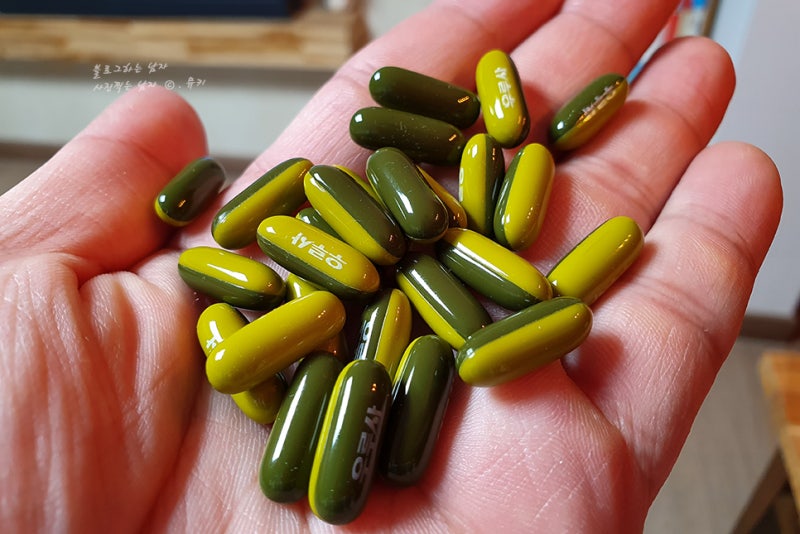 대웅 우루사 50Mg 연집캡슐 30일째 복용 후기 : 네이버 블로그