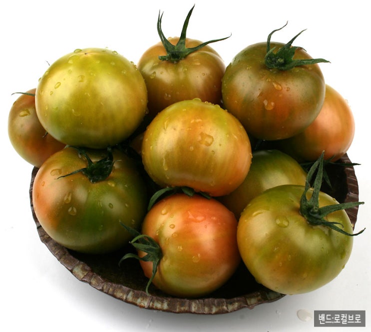  토마토의효능 다이어트 토마토