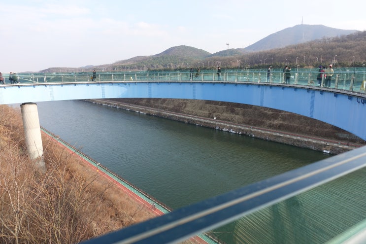  갑상선기능항진증 주요 증상과 치료