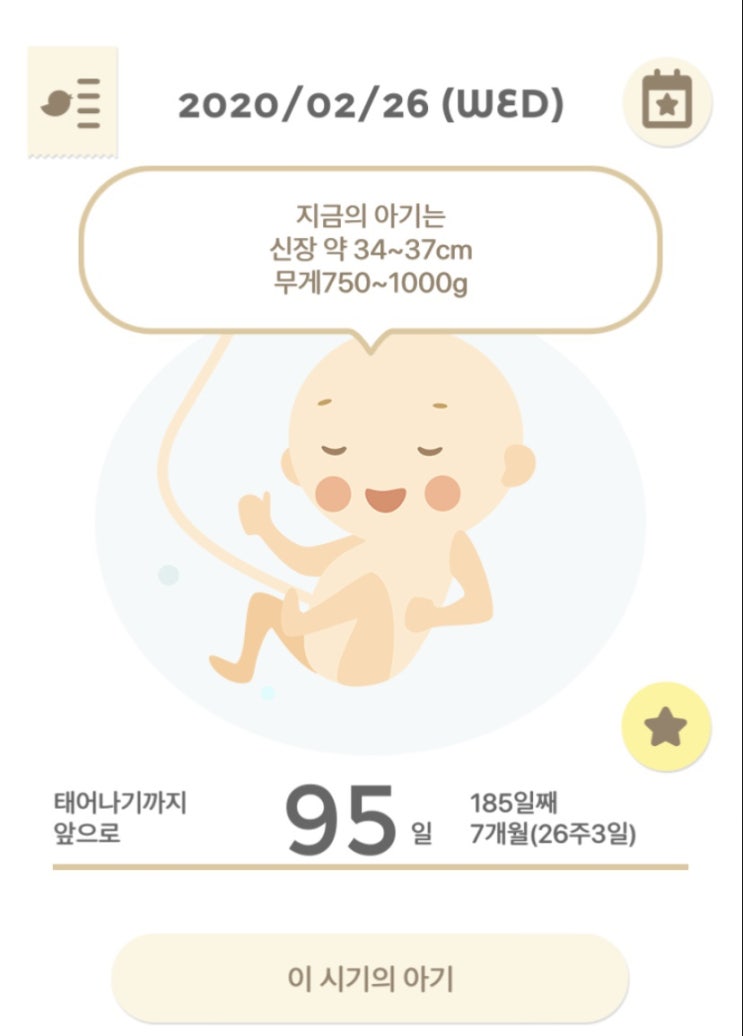 임신25주부터 임신26주까지