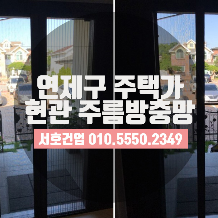  단독주택 현관도, 주름방충망으로 고민 끝