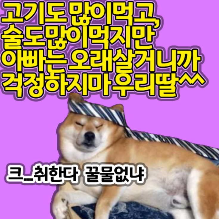  장수비결? 고기많이!술많이! 나우푸드 레스베라트롤
