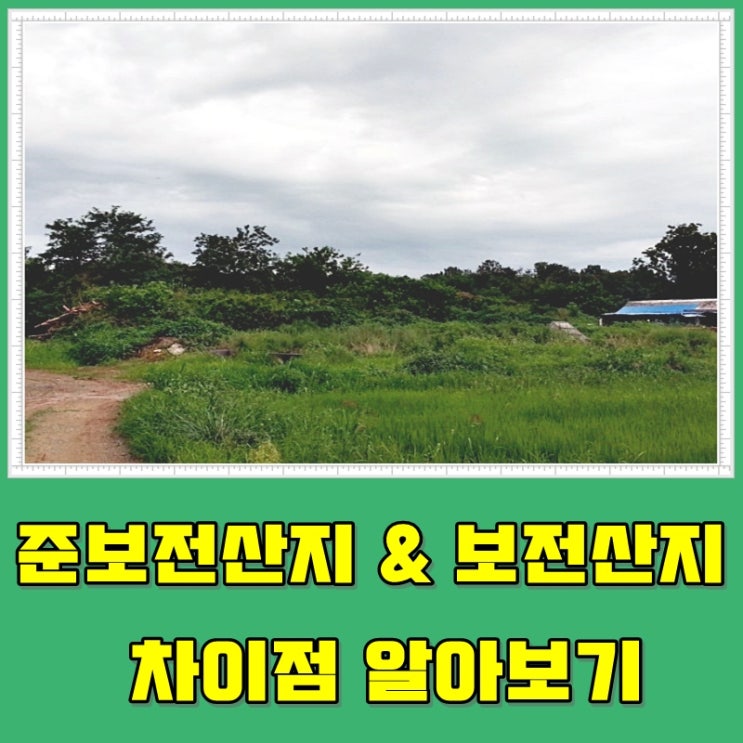  준보전산지와 보전산지 차이점 알아보기