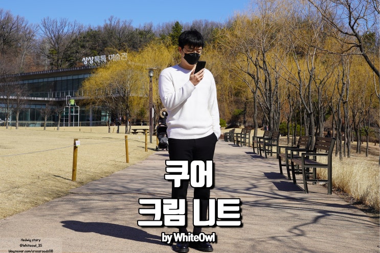  쿠어 크림 울 니트 기본에 충실한 부드러움