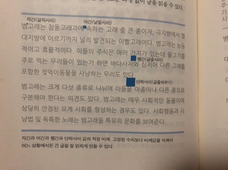  [독서리뷰-26] 좋은 문서디자인 기본 원리 29