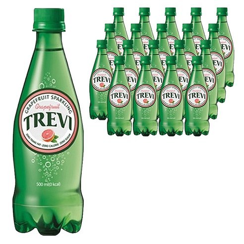  트레비 자몽 500ml X20개 오늘출발