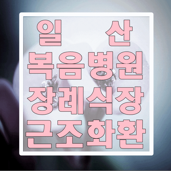  일산 복음 병원 장례식장 품질 좋은 근조화환 빠른 배송 가능한 곳