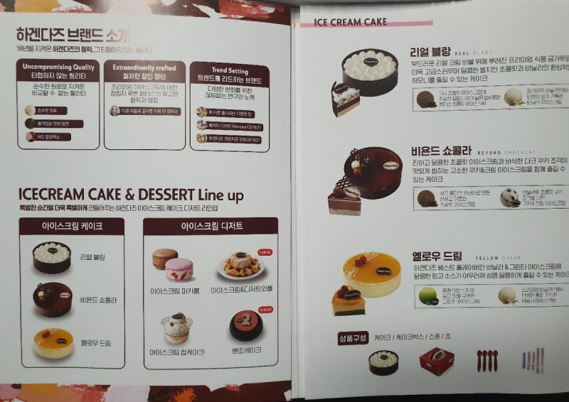 하겐다즈 리얼블랑 아이스크림 케이크 칼로리 영양정보 2