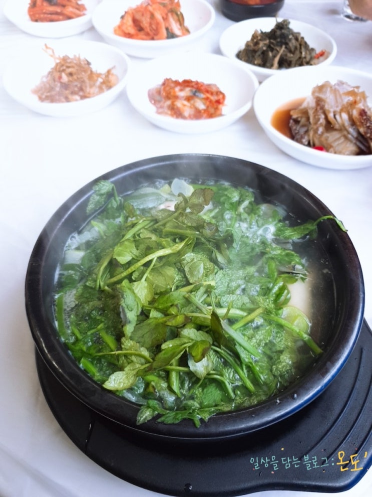  당진맛집 당진 복어지리탕 / 흥부가 회랑 복국 먹는날
