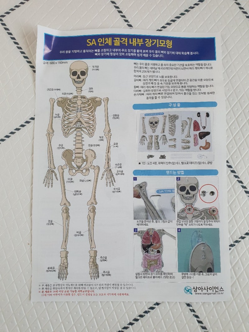 코스모스를 능가하는 classic, 뇌 생각의 출현 -박문호 : 네이버 블로그, image size:800x1067