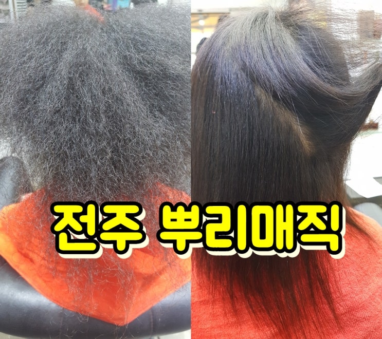  전주 곱슬머리 뿌리매직 후기