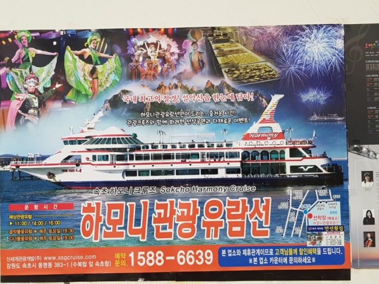  대포 만선횟집