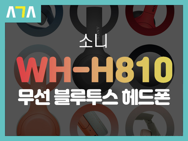  소니 (SONY) WH-H810 무선 블루투스 헤드폰