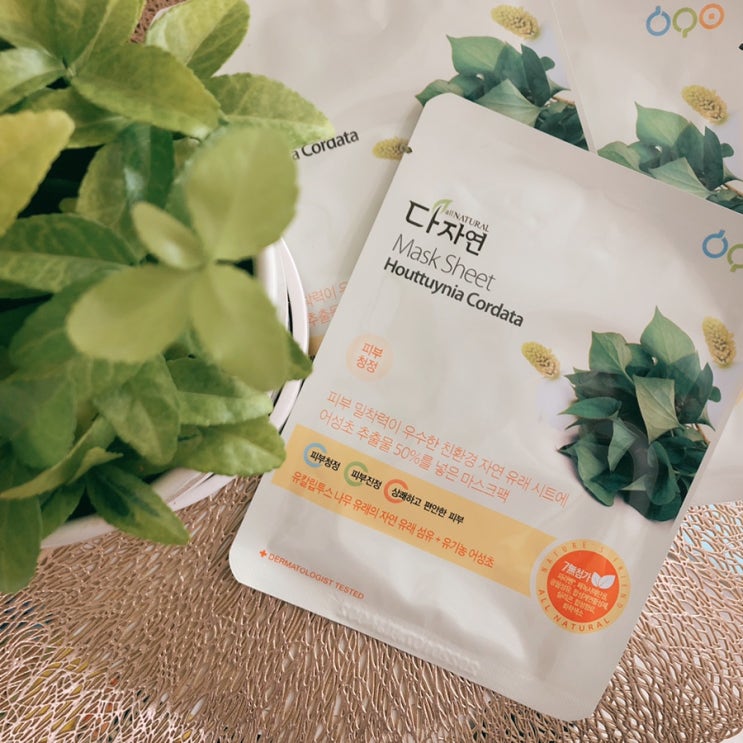  다자연 어성초 마스크팩 꿀피부로 돌아오기