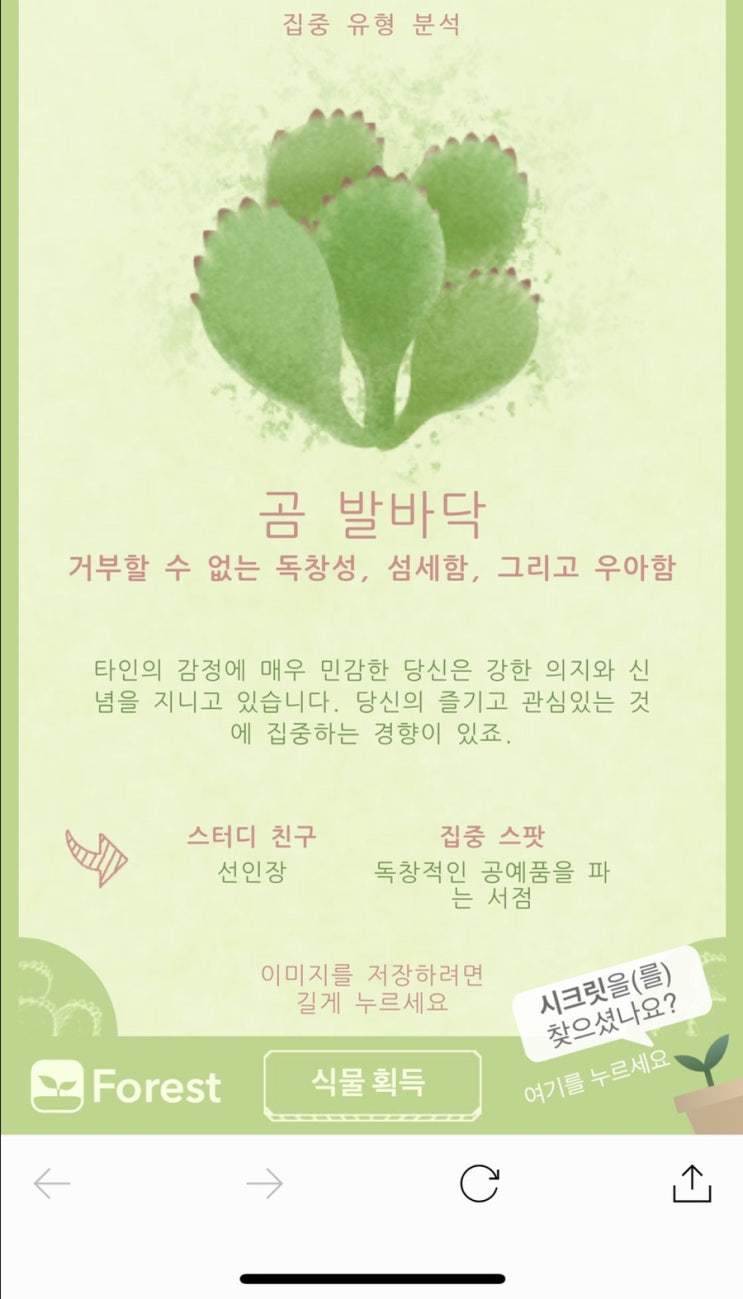  집중유형분석 : forest-mt 나만의 꽃 만들기