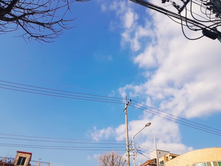  코로나 바이러스 자가 진단법 확인법