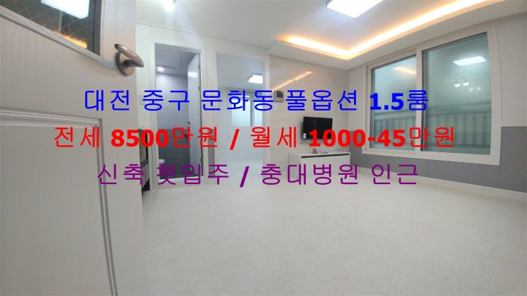  대전 중구 문화동 충대병원 인근에 있는 신축 첫입주 풀옵션 1.5룸 (투룸식 원룸) 전세 월세 모두 가능한 매물입니다 ^^