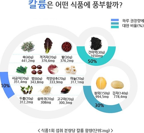 칼륨 식품 차트